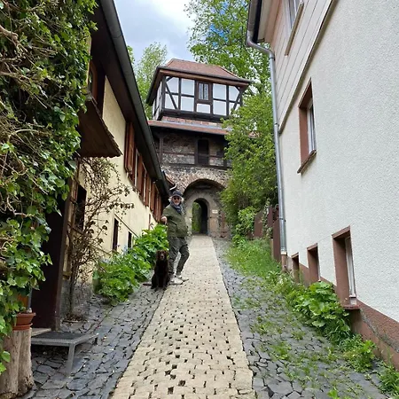 Idyll Mit Loggia Und Garten Apartment Welferode